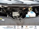 VW T6 bei Reisemobile.expert - Abbildung (5 / 10)