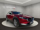 Mazda CX-30 bei Reisemobile.expert - Abbildung (7 / 15)