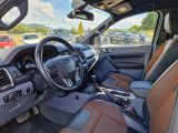 Ford Ranger bei Reisemobile.expert - Abbildung (11 / 15) Ford Ranger bei Reisemobile.expert - Abbildung (11 / 15)