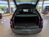Skoda Octavia bei Reisemobile.expert - Abbildung (7 / 15)