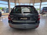 Skoda Octavia bei Reisemobile.expert - Abbildung (6 / 15)