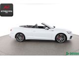 Audi S5 bei Reisemobile.expert - Abbildung (6 / 10)