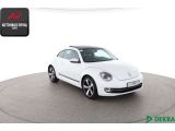VW Beetle bei Reisemobile.expert - Abbildung (7 / 10)