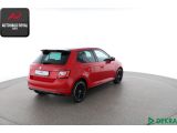Skoda Fabia bei Reisemobile.expert - Abbildung (5 / 10)