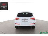 Audi Q5 bei Reisemobile.expert - Abbildung (4 / 10)