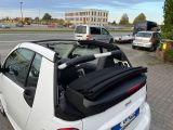 Smart smart fortwo bei Reisemobile.expert - Abbildung (6 / 15)