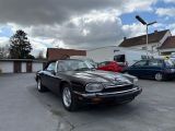 Jaguar XJS bei Reisemobile.expert - Abbildung (9 / 15) Jaguar XJS bei Reisemobile.expert - Abbildung (9 / 15)