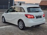 Mercedes-Benz B-Klasse bei Reisemobile.expert - Abbildung (6 / 15)