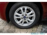 Ford Tourneo bei Reisemobile.expert - Abbildung (15 / 15)