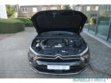Citroen Feel 130 FEEL AUTOMATIK bei Reisemobile.expert - Abbildung (13 / 15)