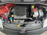 Fiat Panda bei Reisemobile.expert - Abbildung (11 / 14) Fiat Panda bei Reisemobile.expert - Abbildung (11 / 14)