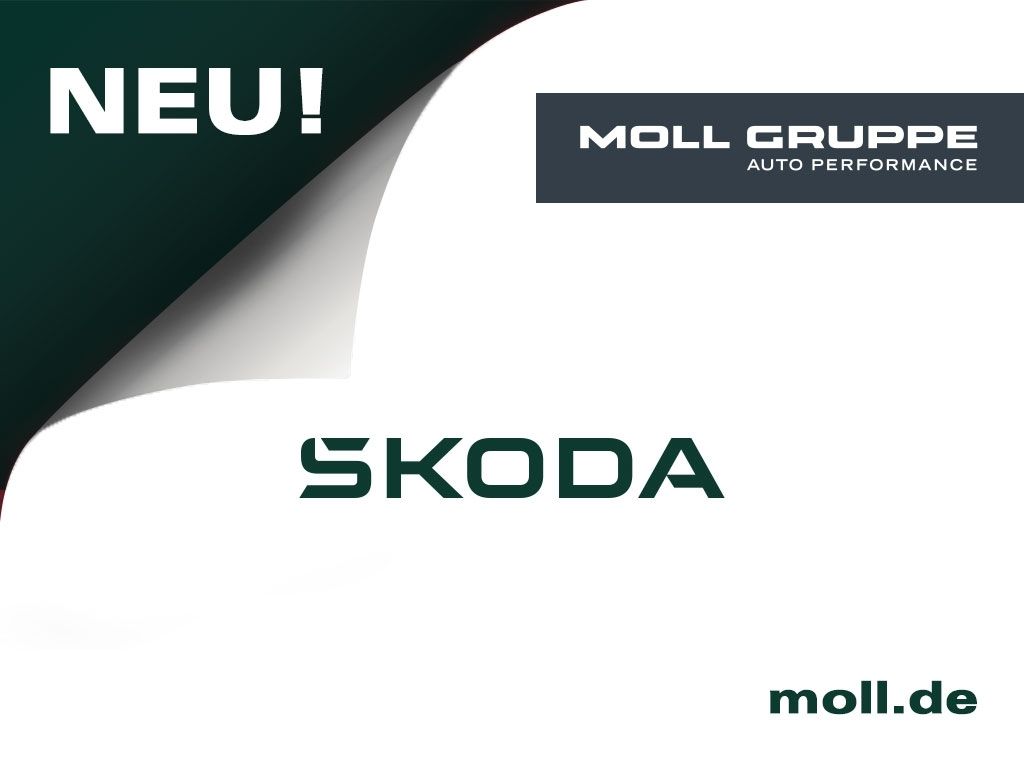 Skoda Fabia bei Reisemobile.expert - Hauptabbildung