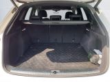 Audi SQ5 bei Reisemobile.expert - Abbildung (5 / 15)