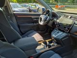 Honda CR-V bei Reisemobile.expert - Abbildung (7 / 15)