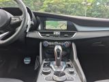 Alfa Romeo Giulia bei Reisemobile.expert - Abbildung (10 / 15)