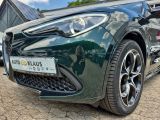 Alfa Romeo Stelvio bei Reisemobile.expert - Abbildung (5 / 15)