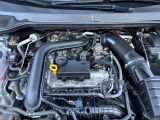 Seat Ibiza bei Reisemobile.expert - Abbildung (14 / 15)