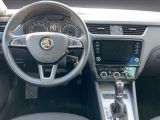 Skoda Octavia bei Reisemobile.expert - Abbildung (8 / 8)