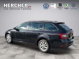 Skoda Octavia bei Reisemobile.expert - Abbildung (4 / 8)