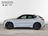 Alfa Romeo Stelvio bei Reisemobile.expert - Abbildung (2 / 15)