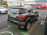 Ford EcoSport bei Reisemobile.expert - Abbildung (5 / 15)