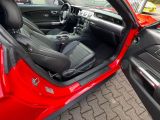 Ford Mustang bei Reisemobile.expert - Abbildung (14 / 15)