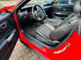 Ford Mustang bei Reisemobile.expert - Abbildung (12 / 15)