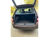Skoda Fabia bei Reisemobile.expert - Abbildung (6 / 10)