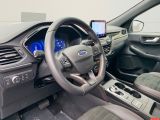 Ford Kuga bei Reisemobile.expert - Abbildung (10 / 15)