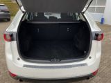 Mazda CX 5 bei Reisemobile.expert - Abbildung (13 / 13)