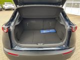 Mazda CX-30 bei Reisemobile.expert - Abbildung (14 / 15)