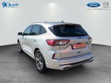 Ford Kuga bei Reisemobile.expert - Abbildung (4 / 14)