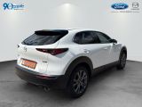 Mazda CX-30 bei Reisemobile.expert - Abbildung (13 / 15)