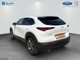 Mazda CX-30 bei Reisemobile.expert - Abbildung (4 / 15)
