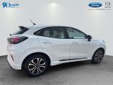 Ford Puma bei Reisemobile.expert - Abbildung (14 / 14)