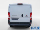 Fiat Ducato bei Reisemobile.expert - Abbildung (5 / 15) Fiat Ducato bei Reisemobile.expert - Abbildung (5 / 15)