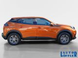 Peugeot 2008 bei Reisemobile.expert - Abbildung (6 / 15)