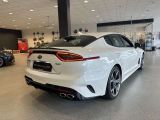 Kia Stinger bei Reisemobile.expert - Abbildung (11 / 15)