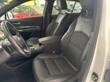 Cadillac XT4 bei Reisemobile.expert - Abbildung (3 / 11)