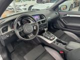 Audi A5 Cabriolet bei Reisemobile.expert - Abbildung (15 / 15)