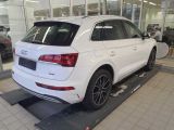 Audi Q5 bei Reisemobile.expert - Abbildung (6 / 7)