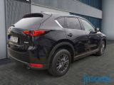 Mazda CX 5 bei Reisemobile.expert - Abbildung (5 / 14)