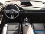 Mazda CX-30 bei Reisemobile.expert - Abbildung (8 / 13)