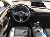 Mazda CX-30 bei Reisemobile.expert - Abbildung (7 / 13)