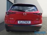 Mazda CX-30 bei Reisemobile.expert - Abbildung (5 / 13)