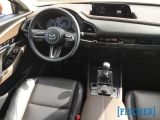 Mazda CX-30 bei Reisemobile.expert - Abbildung (9 / 13)