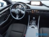 Mazda 3 bei Reisemobile.expert - Abbildung (7 / 12)