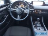 Mazda 3 bei Reisemobile.expert - Abbildung (6 / 12)