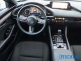 Mazda 3 bei Reisemobile.expert - Abbildung (5 / 12)