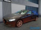 Mazda 3 bei Reisemobile.expert - Abbildung (2 / 15)